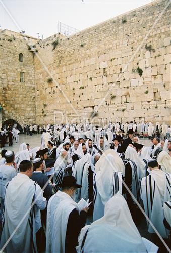 The Western Wall