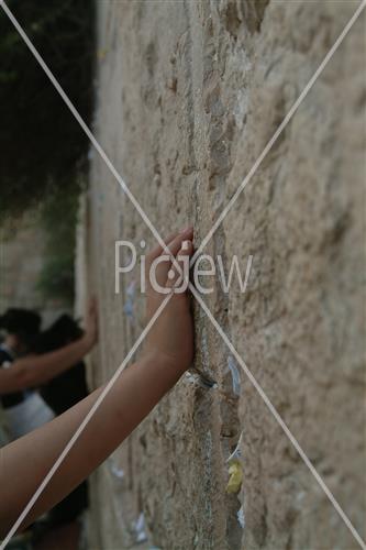הכותל המערבי