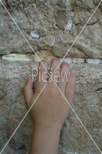 הכותל המערבי