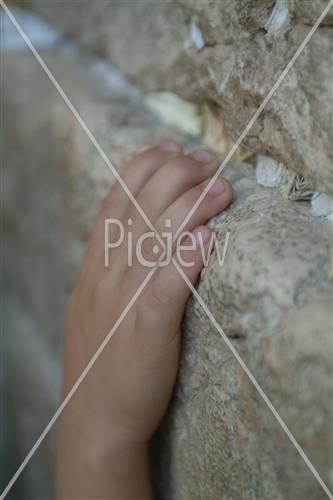 הכותל המערבי