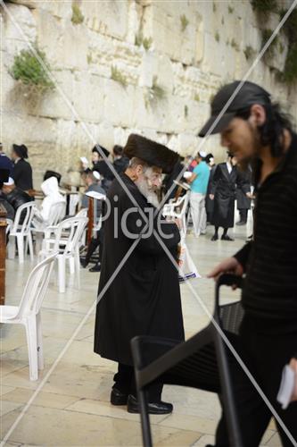 הכותל המערבי