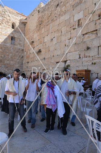 The Western Wall