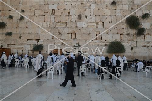 הכותל המערבי