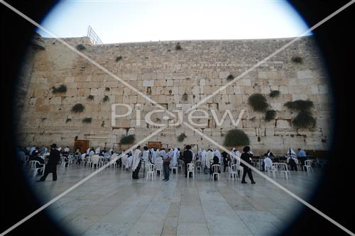 The Western Wall