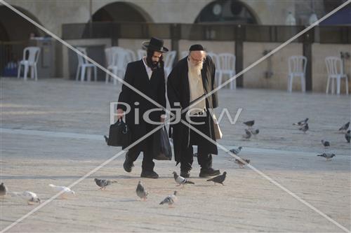 הכותל המערבי