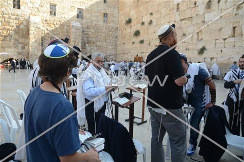 The Western Wall