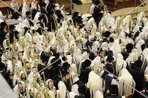 תפילת חג סוכות בבעלז