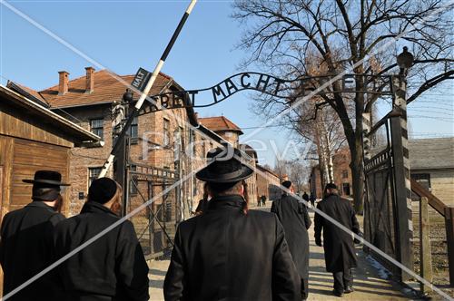 Electric fence in Auschwitz