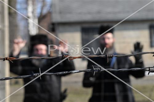 Electric fence in Auschwitz