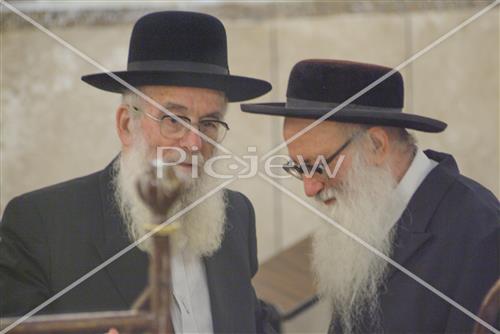 הרב שטיגל