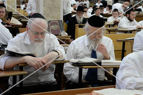 הרב שטיגל