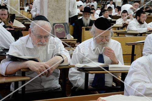 הרב שטיגל