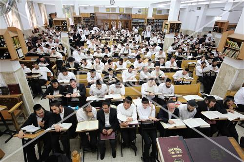 הרב שטיגל