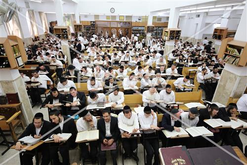 הרב שטיגל
