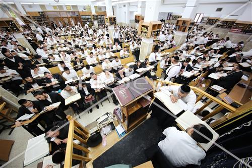 הרב שטיגל