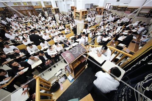 הרב שטיגל