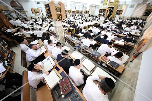 הרב שטיגל