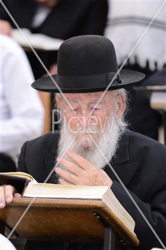 הרב שטיגל