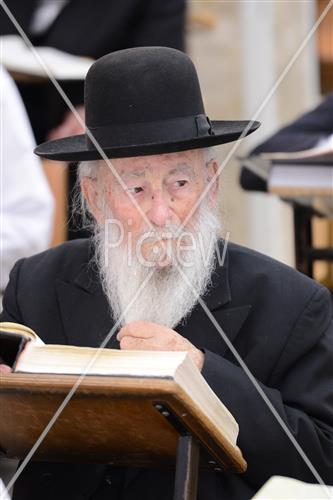 Rabbi Yosef Zvi Stigel