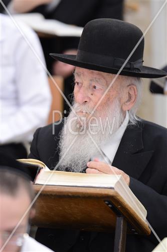 הרב שטיגל