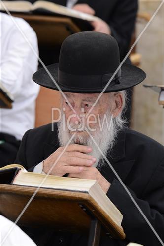 הרב שטיגל