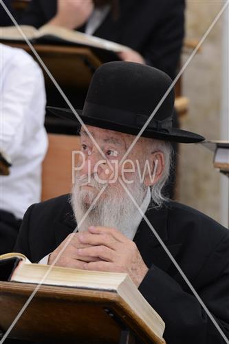 הרב שטיגל