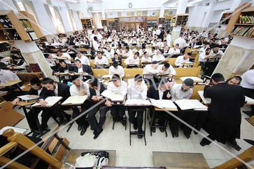 הרב שטיגל