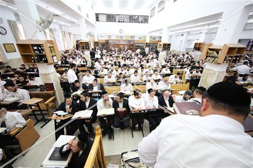 הרב שטיגל