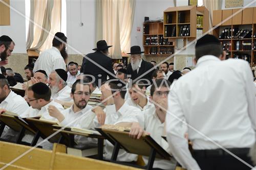 הרב שטיגל