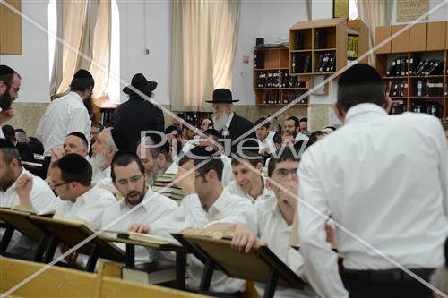 הרב שטיגל