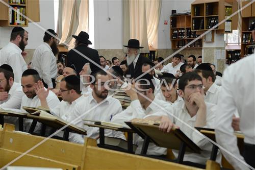 הרב שטיגל
