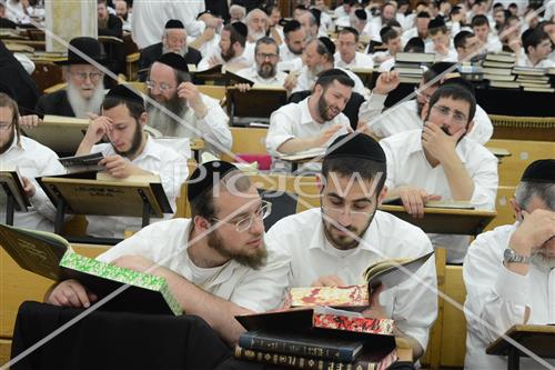 הרב שטיגל