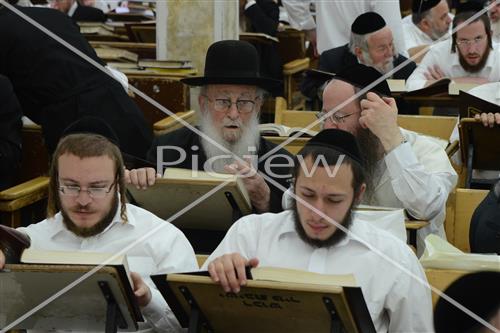 הרב שטיגל