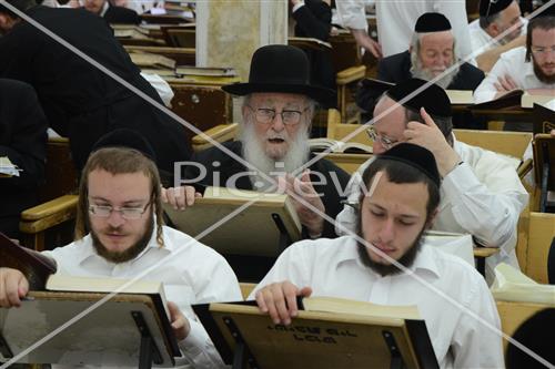 הרב שטיגל