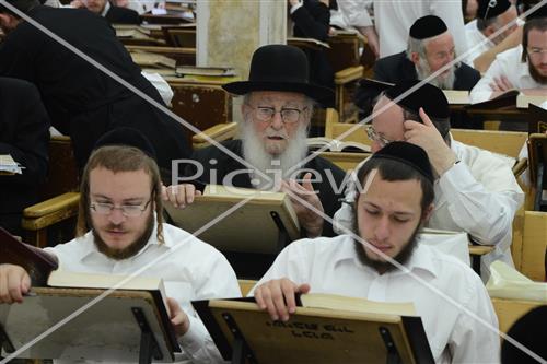 הרב שטיגל