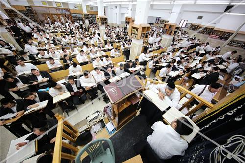הרב שטיגל