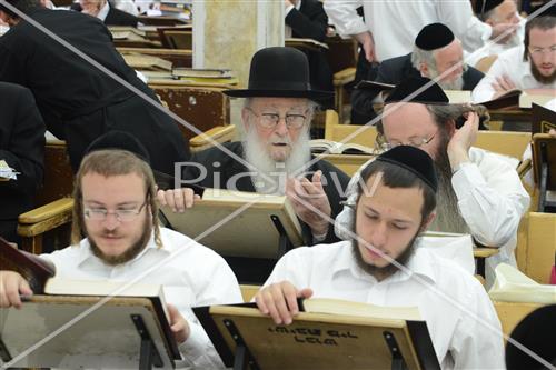 הרב שטיגל