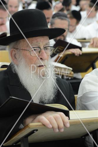 הרב שטיגל