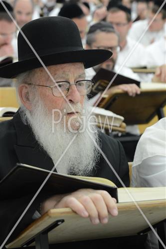 הרב שטיגל