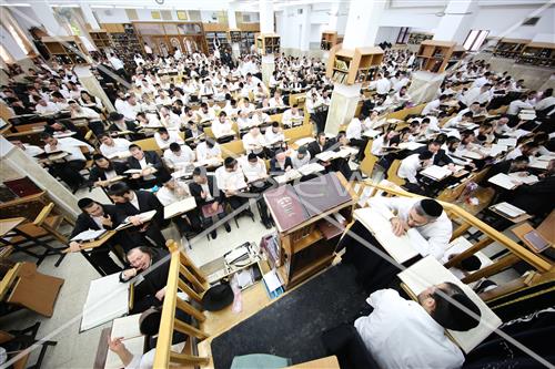 הרב שטיגל