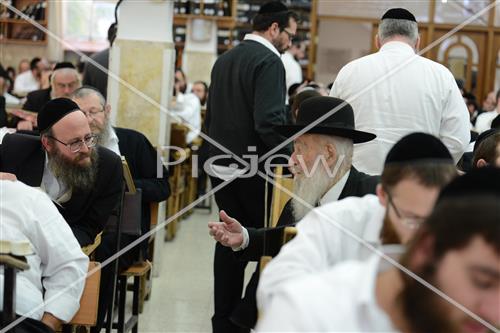 הרב שטיגל