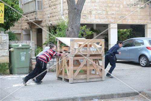 Collecting trees for Lag B'Omer