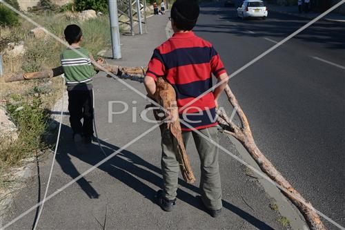 אסיפת עצים לל"ג בעומר