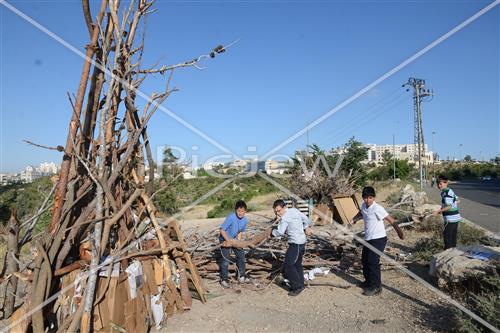 Collecting trees for Lag B'Omer