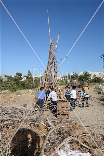 Collecting trees for Lag B'Omer