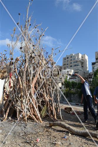אסיפת עצים לל"ג בעומר