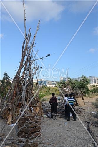 אסיפת עצים לל"ג בעומר