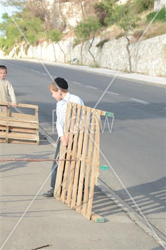 Collecting trees for Lag B'Omer