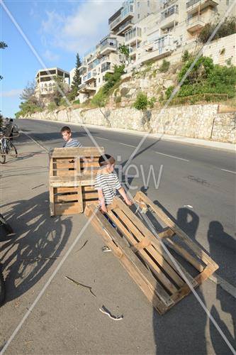 אסיפת עצים לל"ג בעומר