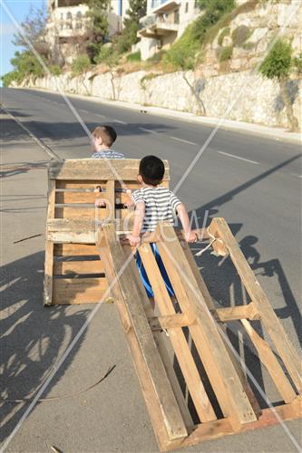 אסיפת עצים לל"ג בעומר